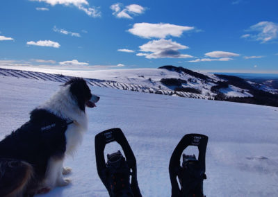 rando-raquettes-col-legal-cantal-aussie-001
